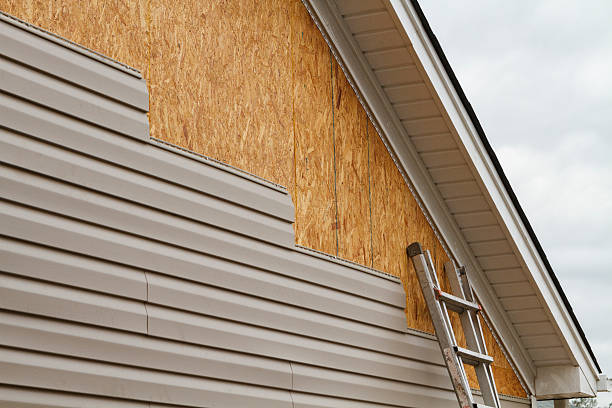 Professional Wood Siding technician working in Burbank, IL